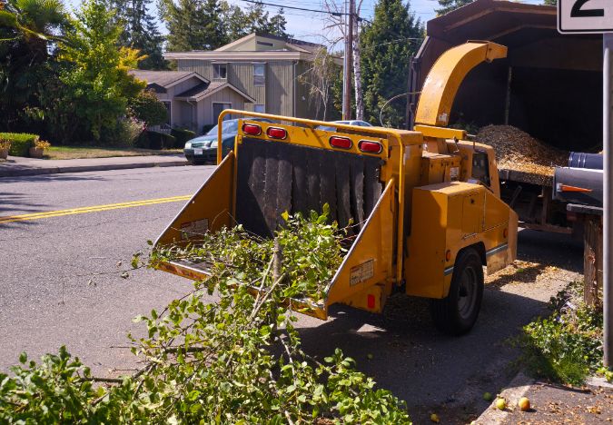 Lot Clearing Sherbrooke, Tree Removal