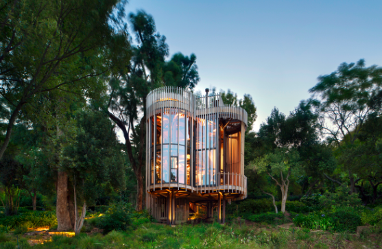 Afrique sud cabane arbres