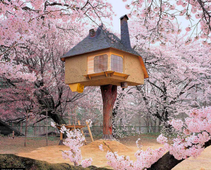 Tetsu treehouse japan
