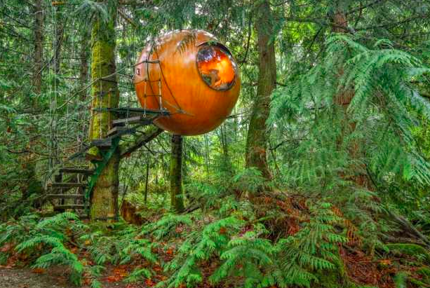 free spirit spheres cabane arbres