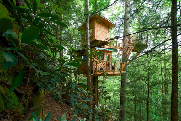 red river gorge cabane arbres