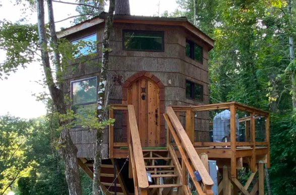 topia cabane arbres